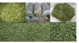 IMG 20161112 120320 1